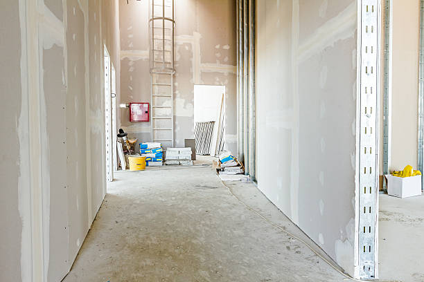 Reliable Fredericksburg, IA Dry wall and painting Solutions